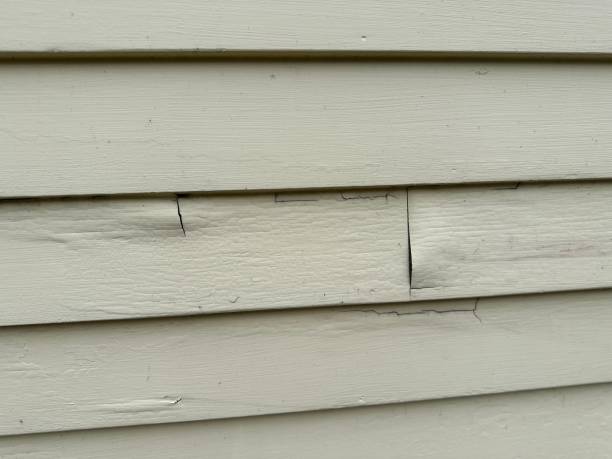 Best Siding for New Construction  in Alderson, WV